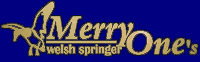 Merry Ones welsh springer spaniel