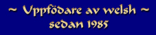 Uppfdare av welsh sedan 1985