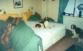 Vi har bddat matte, bra va?/ We just made the bed mum