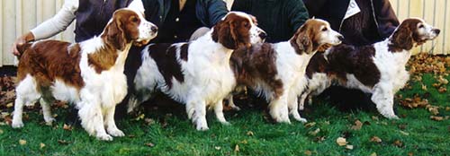 Bis Breeders group Motala 25/10 -03