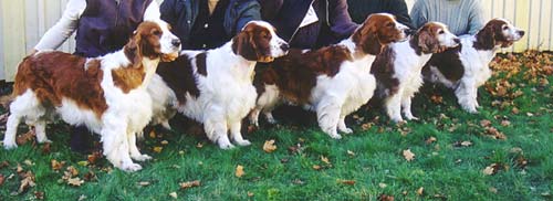 Bis progeny group Motala 25/10 -03