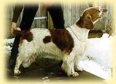 Merry One's Kiss Me Quick "Ronja"