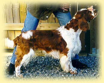 Merry One's Macgregor  "Ludde"